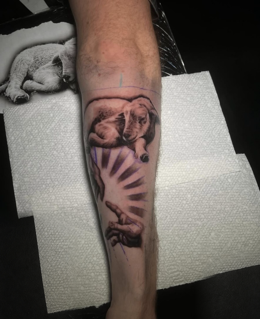 Lamb with Creation of Adam hands, forearm